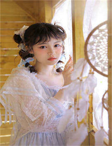 乌鸦小姐与蜥蜴先生电视剧免费版