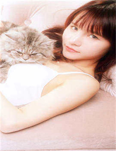 虹猫蓝兔七侠传片尾曲